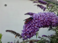 CIMG8377.webp