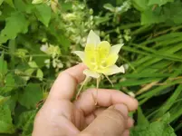 CIMG8284.webp