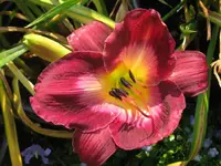 243_1024x768.webp