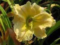 anja2_1024x768.webp