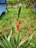 CIMG8306.webp