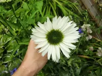 CIMG8280.webp