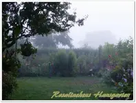 ...der Morgen danach!.webp