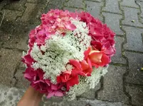 CIMG8298.webp