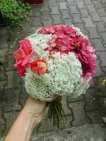 CIMG8299.webp