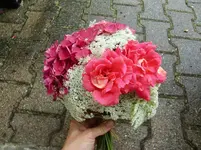CIMG8294.webp