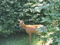 270_1024x768.webp