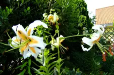 DSCF1505.webp