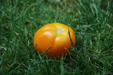 DSC_7639.2.webp