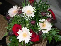 DSCN1705.webp