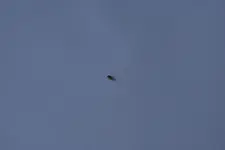 Sicht von oben.webp