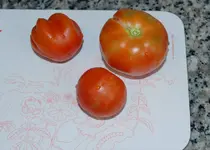 DSC_7684.2.webp