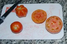 DSC_7689.2.webp