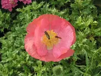 020.webp