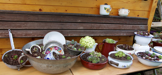 IMG_4875.webp