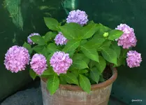 IMG_4830.webp