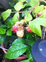 k-IMG_4656.webp