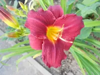 DSCN0881.webp