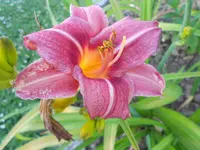 DSCN0882.webp