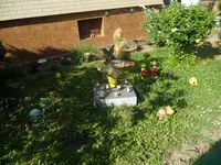 SAM_1380.webp