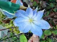 CIMG8445.webp
