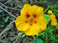 CIMG8470.webp