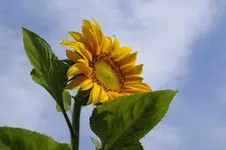 _DSC2759.webp