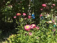 HPIM9822.webp