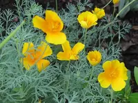 020.webp