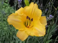 018.webp