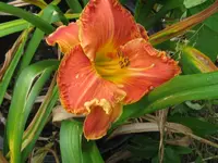 7_1024x768.webp