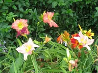 078_1024x768.webp