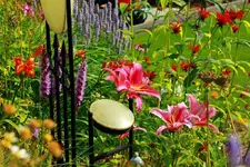 kleiner Teil des Hangbets_1024.webp