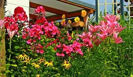 weiterer Teil des Hangbeets_1024.webp
