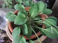 DSCF6336.webp