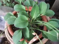 DSCF6332.webp