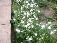 Foto1012.webp