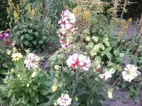 Foto1013.webp