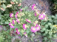 Foto1024.webp