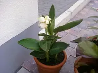 Foto1029.webp