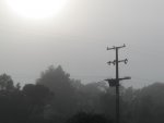 Nebelbilderv (1).JPG