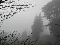 Nebelbilderv (2).webp