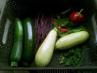 Ernte3.webp