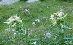 P1020583.webp