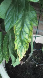 2013-07-24 17.40.33.webp