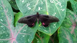 WP_20130720_001.webp