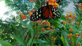 WP_20130720_005.webp