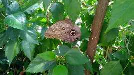 WP_20130720_010.webp