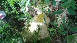 WP_20130720_016.webp