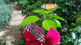 WP_20130720_017.webp